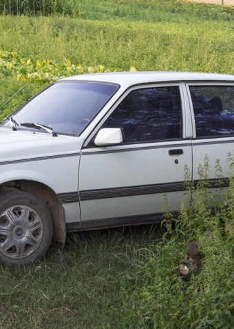 Folkeræs forår 2026 - Klik for at tilmelde dig