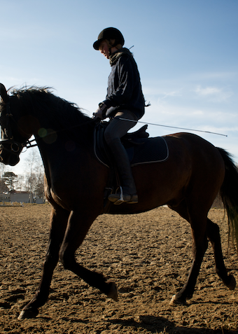 Hest & Rytter 2027 (tur til Herning) - Klik for at tilmelde dig