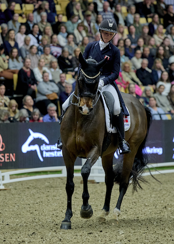 Hest & Rytter 2027 (tur til Herning) - Klik for at tilmelde dig