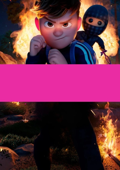 ternet ninja