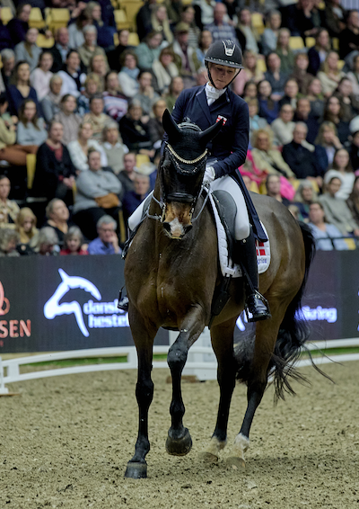 Hest