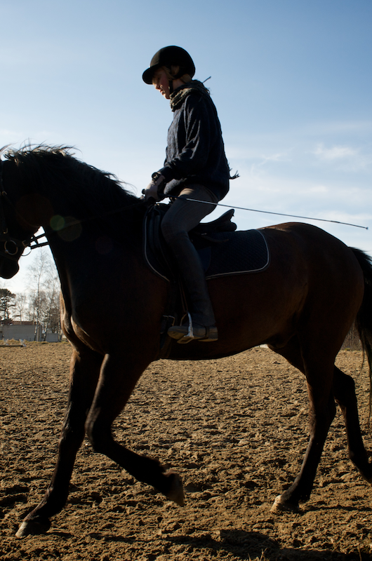 Hest og rytter