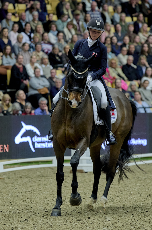 Hest